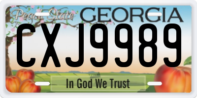 GA license plate CXJ9989