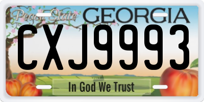 GA license plate CXJ9993