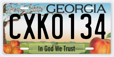 GA license plate CXK0134