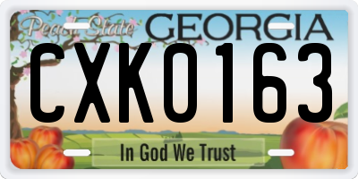 GA license plate CXK0163