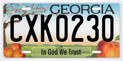 GA license plate CXK0230