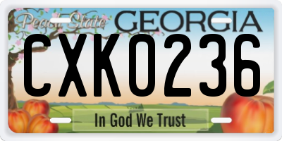 GA license plate CXK0236