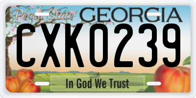 GA license plate CXK0239