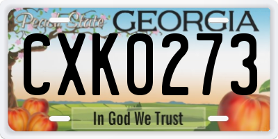 GA license plate CXK0273