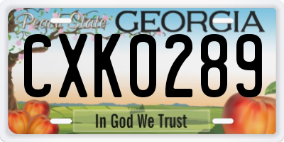 GA license plate CXK0289