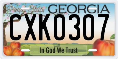 GA license plate CXK0307