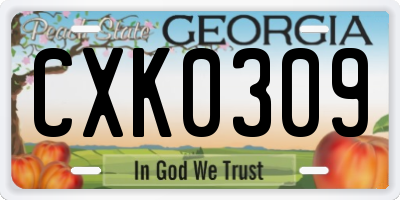 GA license plate CXK0309