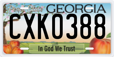 GA license plate CXK0388