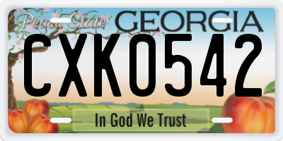 GA license plate CXK0542