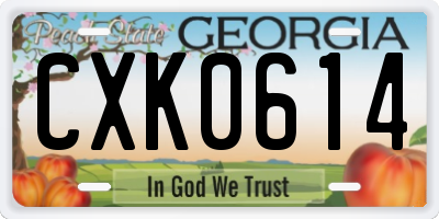 GA license plate CXK0614