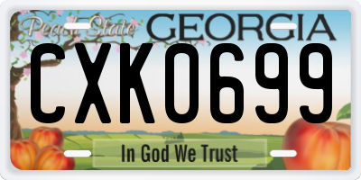 GA license plate CXK0699