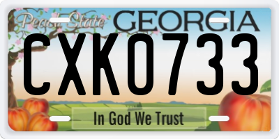 GA license plate CXK0733