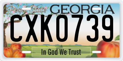 GA license plate CXK0739
