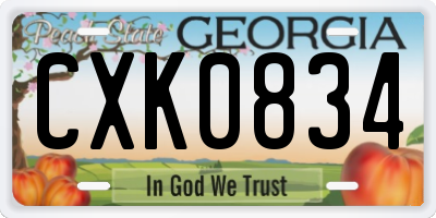 GA license plate CXK0834