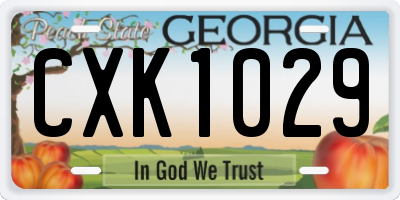 GA license plate CXK1029
