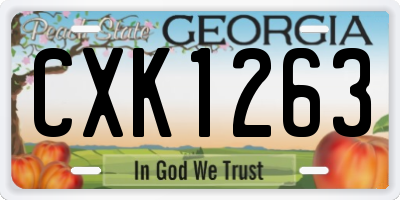 GA license plate CXK1263