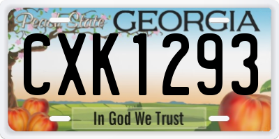 GA license plate CXK1293