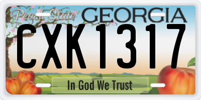 GA license plate CXK1317