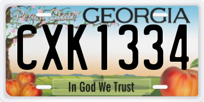 GA license plate CXK1334