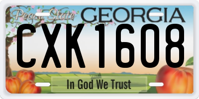 GA license plate CXK1608