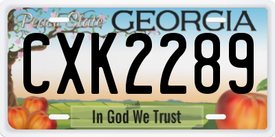 GA license plate CXK2289