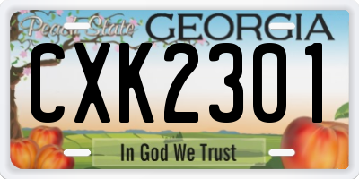 GA license plate CXK2301