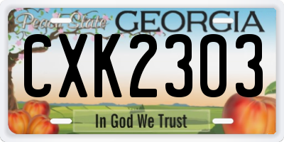 GA license plate CXK2303