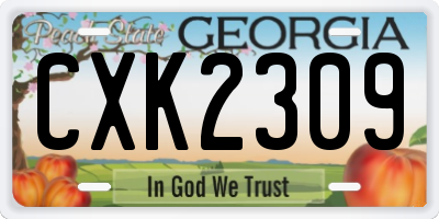 GA license plate CXK2309