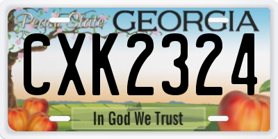 GA license plate CXK2324