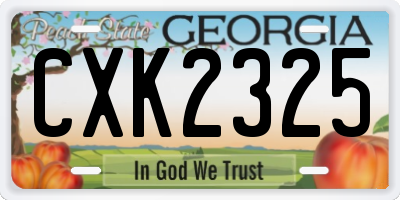GA license plate CXK2325