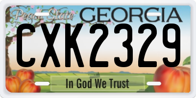 GA license plate CXK2329