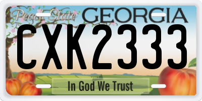 GA license plate CXK2333
