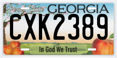 GA license plate CXK2389