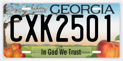 GA license plate CXK2501