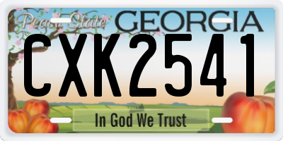 GA license plate CXK2541