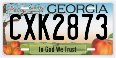 GA license plate CXK2873