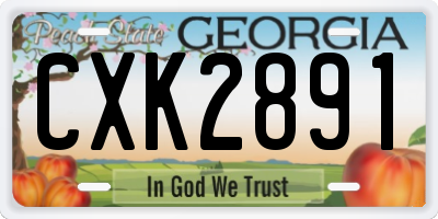 GA license plate CXK2891
