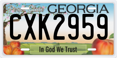 GA license plate CXK2959