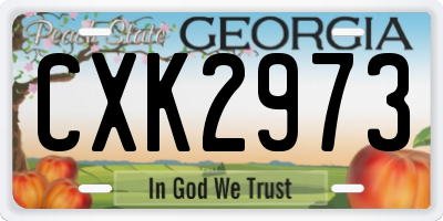 GA license plate CXK2973