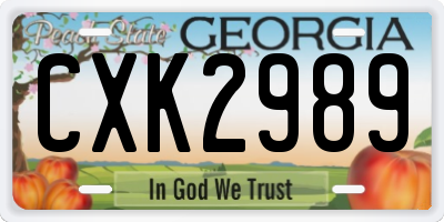 GA license plate CXK2989