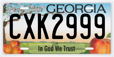 GA license plate CXK2999