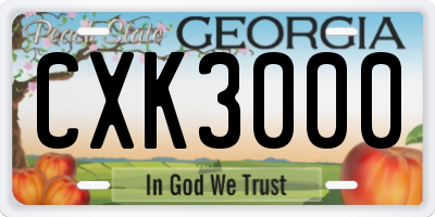 GA license plate CXK3000