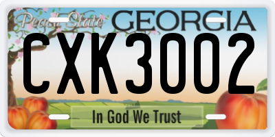 GA license plate CXK3002