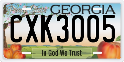GA license plate CXK3005