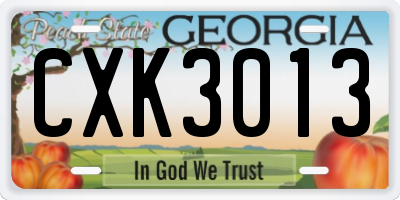 GA license plate CXK3013