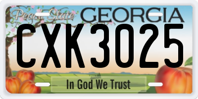 GA license plate CXK3025