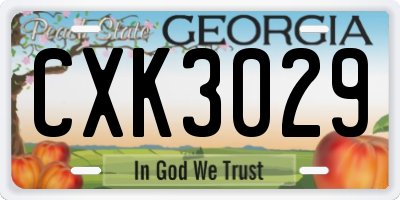 GA license plate CXK3029