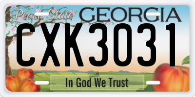 GA license plate CXK3031