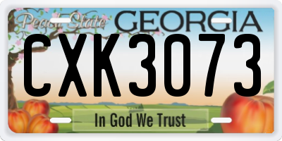 GA license plate CXK3073