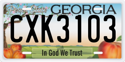 GA license plate CXK3103
